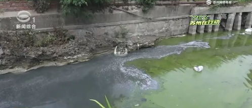 曝光一线 吴江七都部分区域废水粉尘污染问题突出