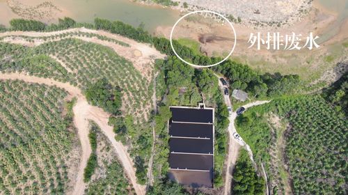 环保督察 中国黄金滇桂黔区域多家企业生态破坏等问题突出